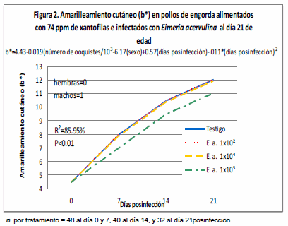 Xantófilas plasmáticas y en piel de pollos de engorda desafiados con ooquistes de Eimeria acervulina - Image 3