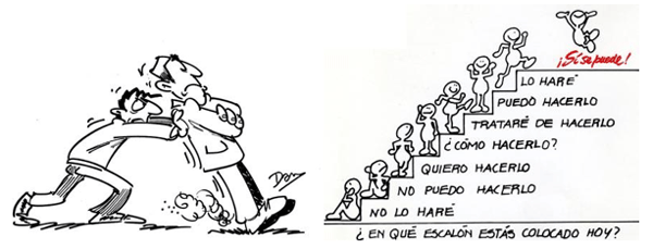 Mis 35 Años en la Industria Avícola - Image 9