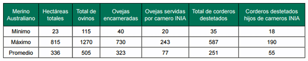 Apoyo a la producción familiar ganadera ovina. Avances de los convenios de innovación y validación tecnológica (INIA-CLU-CRILU) - Image 6