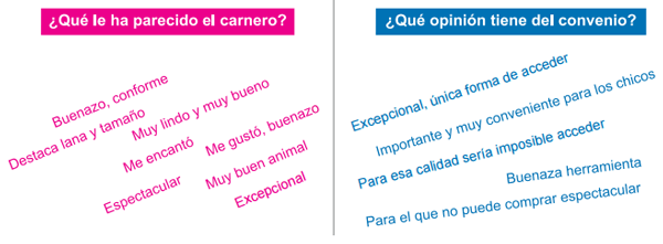 Apoyo a la producción familiar ganadera ovina. Avances de los convenios de innovación y validación tecnológica (INIA-CLU-CRILU) - Image 7