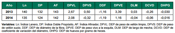 Apoyo a la producción familiar ganadera ovina. Avances de los convenios de innovación y validación tecnológica (INIA-CLU-CRILU) - Image 3
