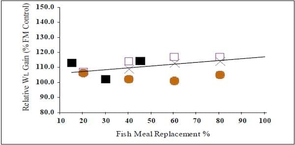 Productos reciclados de origen animal en alimentos acuícolas para camarones - Image 7
