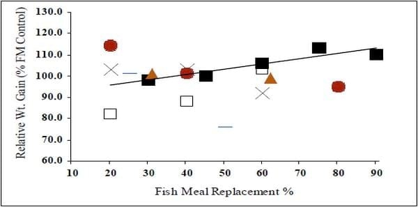 Productos reciclados de origen animal en alimentos acuícolas para camarones - Image 12