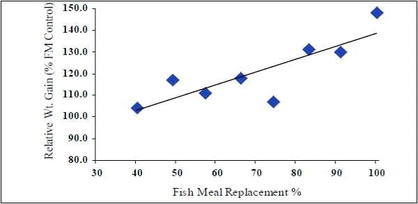 Productos reciclados de origen animal en alimentos acuícolas para camarones - Image 6