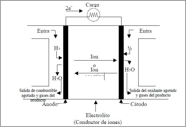 Usos industriales y energéticos de los subproductos de origen animal, pasado y futuro - Image 4