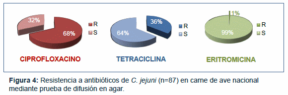 Contaminación de carne de ave con C. jejuni resistente a los antibióticos a la venta en supermercados chilenos. - Image 5