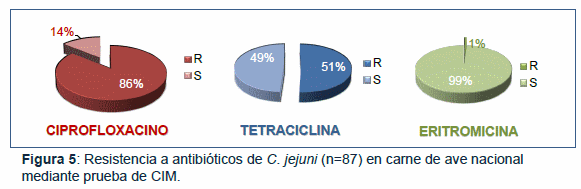 Contaminación de carne de ave con C. jejuni resistente a los antibióticos a la venta en supermercados chilenos. - Image 6