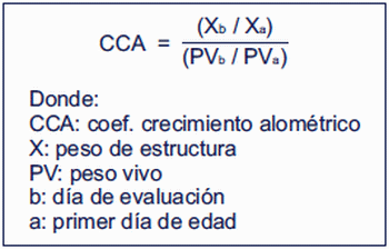 Morfometría ósea y crecimiento alométrico como indicadores de porcentaje de ceniza en tibia en pollos de engorde - Image 2