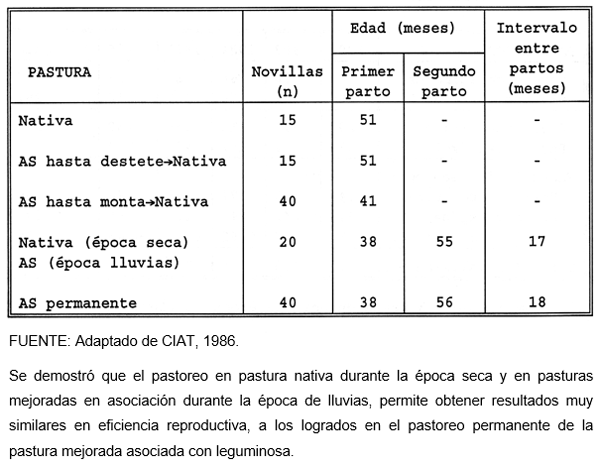 La reducción en la edad al primer parto y la reproducción estacional como estrategias tecnológicas para aumentar la eficiencia reproductiva en el hato bovino de América tropical - Image 3