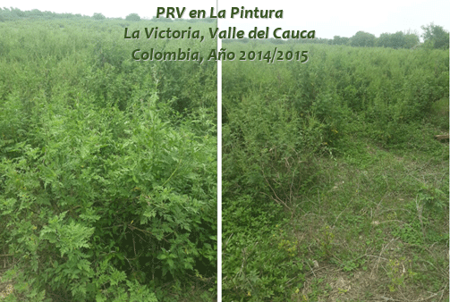 Finca La Pintura: “Así pasó de la ganadería tradicional a la ecológica” - Image 14