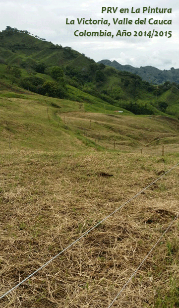 Finca La Pintura: “Así pasó de la ganadería tradicional a la ecológica” - Image 9