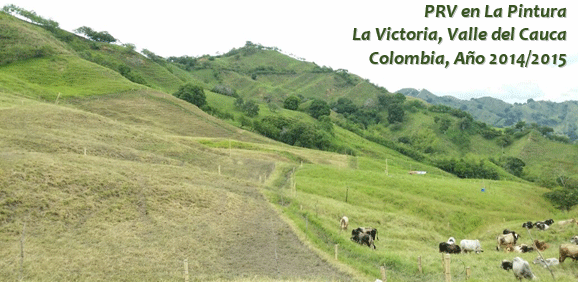 Finca La Pintura: “Así pasó de la ganadería tradicional a la ecológica” - Image 13