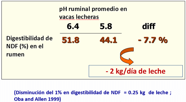 Avances sobre manejo de la alimentación de vacunos de alta producción lechera - Image 13