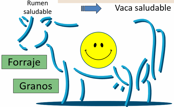 Avances sobre manejo de la alimentación de vacunos de alta producción lechera - Image 11