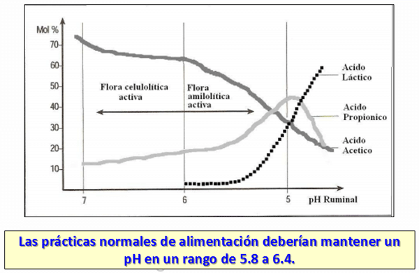 Avances sobre manejo de la alimentación de vacunos de alta producción lechera - Image 10