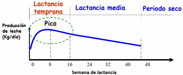 Avances sobre manejo de la alimentación de vacunos de alta producción lechera - Image 2
