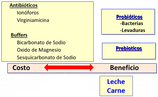 Avances sobre manejo de la alimentación de vacunos de alta producción lechera - Image 15