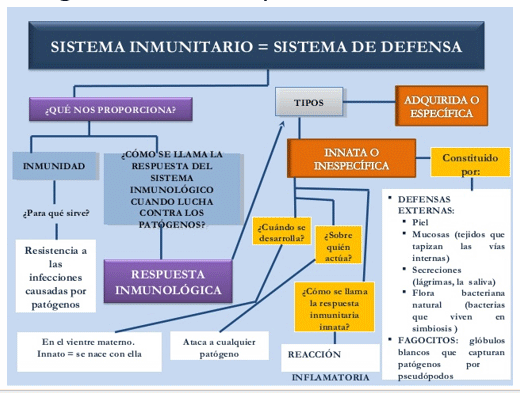 Avances sobre manejo de la alimentación de vacunos de alta producción lechera - Image 19