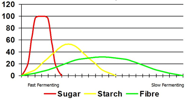Avances sobre manejo de la alimentación de vacunos de alta producción lechera - Image 4