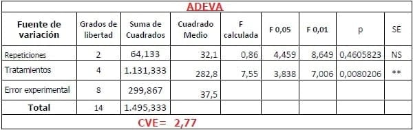 Encallado de esquejes de café robusta en cinco tipos de sustratos en Orellana - Image 21
