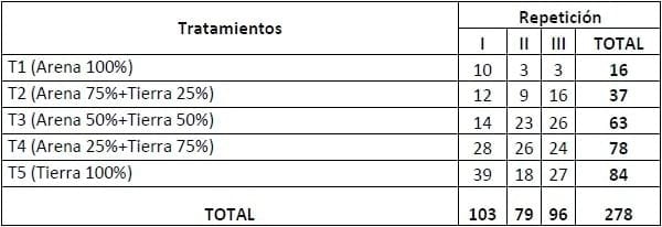 Encallado de esquejes de café robusta en cinco tipos de sustratos en Orellana - Image 35