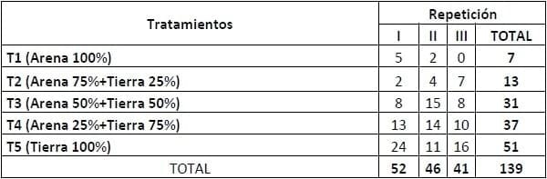 Encallado de esquejes de café robusta en cinco tipos de sustratos en Orellana - Image 30