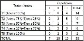 Encallado de esquejes de café robusta en cinco tipos de sustratos en Orellana - Image 38