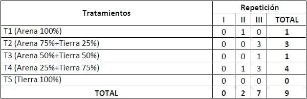 Encallado de esquejes de café robusta en cinco tipos de sustratos en Orellana - Image 34