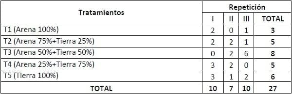 Encallado de esquejes de café robusta en cinco tipos de sustratos en Orellana - Image 32