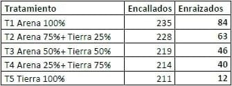 Encallado de esquejes de café robusta en cinco tipos de sustratos en Orellana - Image 24
