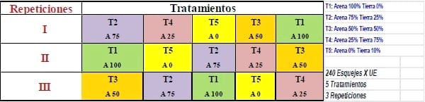 Encallado de esquejes de café robusta en cinco tipos de sustratos en Orellana - Image 15