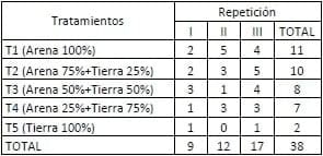 Encallado de esquejes de café robusta en cinco tipos de sustratos en Orellana - Image 37