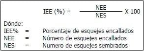 Encallado de esquejes de café robusta en cinco tipos de sustratos en Orellana - Image 17