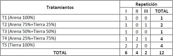 Encallado de esquejes de café robusta en cinco tipos de sustratos en Orellana - Image 33