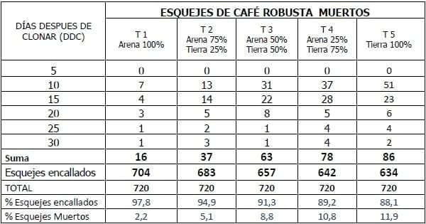 Encallado de esquejes de café robusta en cinco tipos de sustratos en Orellana - Image 19