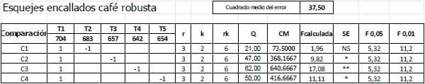 Encallado de esquejes de café robusta en cinco tipos de sustratos en Orellana - Image 23