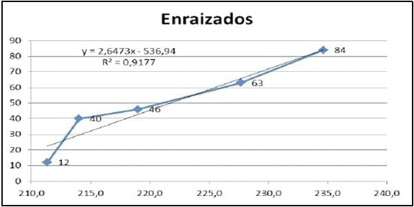Encallado de esquejes de café robusta en cinco tipos de sustratos en Orellana - Image 25