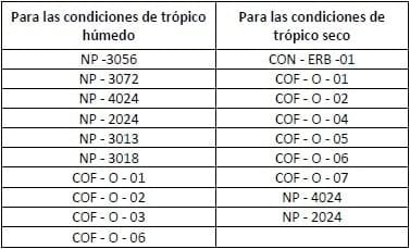 Encallado de esquejes de café robusta en cinco tipos de sustratos en Orellana - Image 5