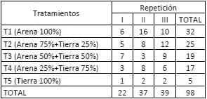 Encallado de esquejes de café robusta en cinco tipos de sustratos en Orellana - Image 39