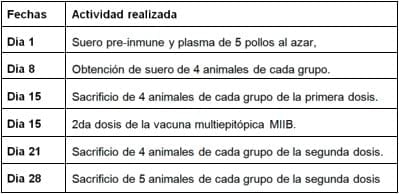 Desarrollo de una vacuna multiepitópica contra el virus de influenza aviar A-H5N1 en base a herramientas inmunoinformáticas - Image 5