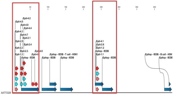 Desarrollo de una vacuna multiepitópica contra el virus de influenza aviar A-H5N1 en base a herramientas inmunoinformáticas - Image 7