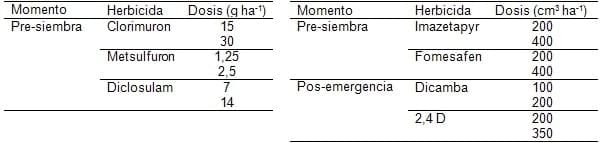 Recuperación de daño fitotóxico sobre el rendimiento causado por herbicidas: Resultados de primeras pruebas en maiz - Image 1