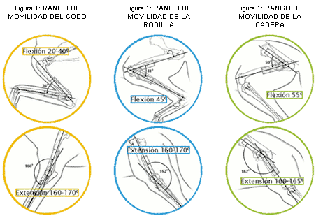 Control del proceso nociceptivo posoperatorio y crónico en diferentes especies con patologías que cursan con dolor leve a moderado con la utilización de un nuevo coadyuvante naturista (hérbica) que muestra sinergismo en su efectos farmacologicos. - Image 1
