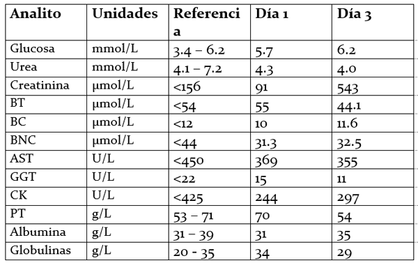 Control del proceso nociceptivo posoperatorio y crónico en diferentes especies con patologías que cursan con dolor leve a moderado con la utilización de un nuevo coadyuvante naturista (hérbica) que muestra sinergismo en su efectos farmacologicos. - Image 3