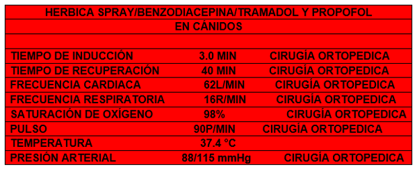 Control del proceso nociceptivo posoperatorio y crónico en diferentes especies con patologías que cursan con dolor leve a moderado con la utilización de un nuevo coadyuvante naturista (hérbica) que muestra sinergismo en su efectos farmacologicos. - Image 13