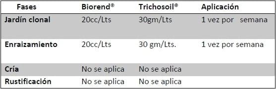 Trichoderma harzianum como agente de control biológico - Image 11
