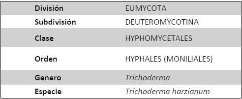 Trichoderma harzianum como agente de control biológico - Image 1