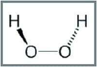 Trichoderma harzianum como agente de control biológico - Image 8