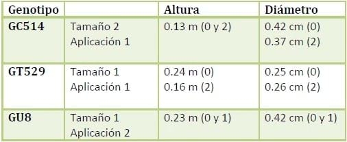 Trichoderma harzianum como agente de control biológico - Image 14