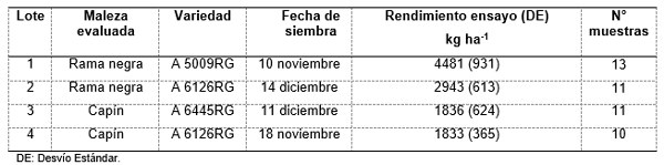 Pérdida del rendimiento del cultivo de soja por la presencia de rama negra y capín - Image 2